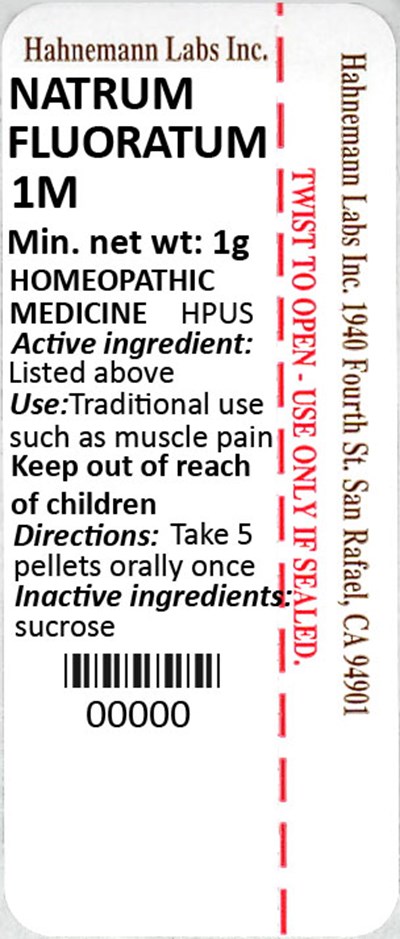 Natrum Fluoratum 1M 1g.jpg Natrum Fluoratum 1M 1g - Natrum Fluoratum 1M 1g